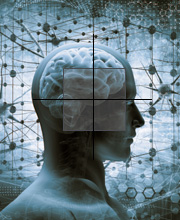 brain injury link button